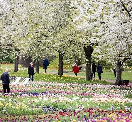 Lägenhet Helles In Berlin-mariendorf *